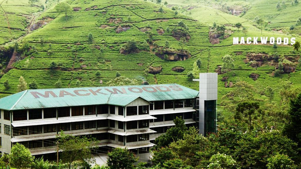 Max Mount View Hotell Nuwara Eliya Exteriör bild